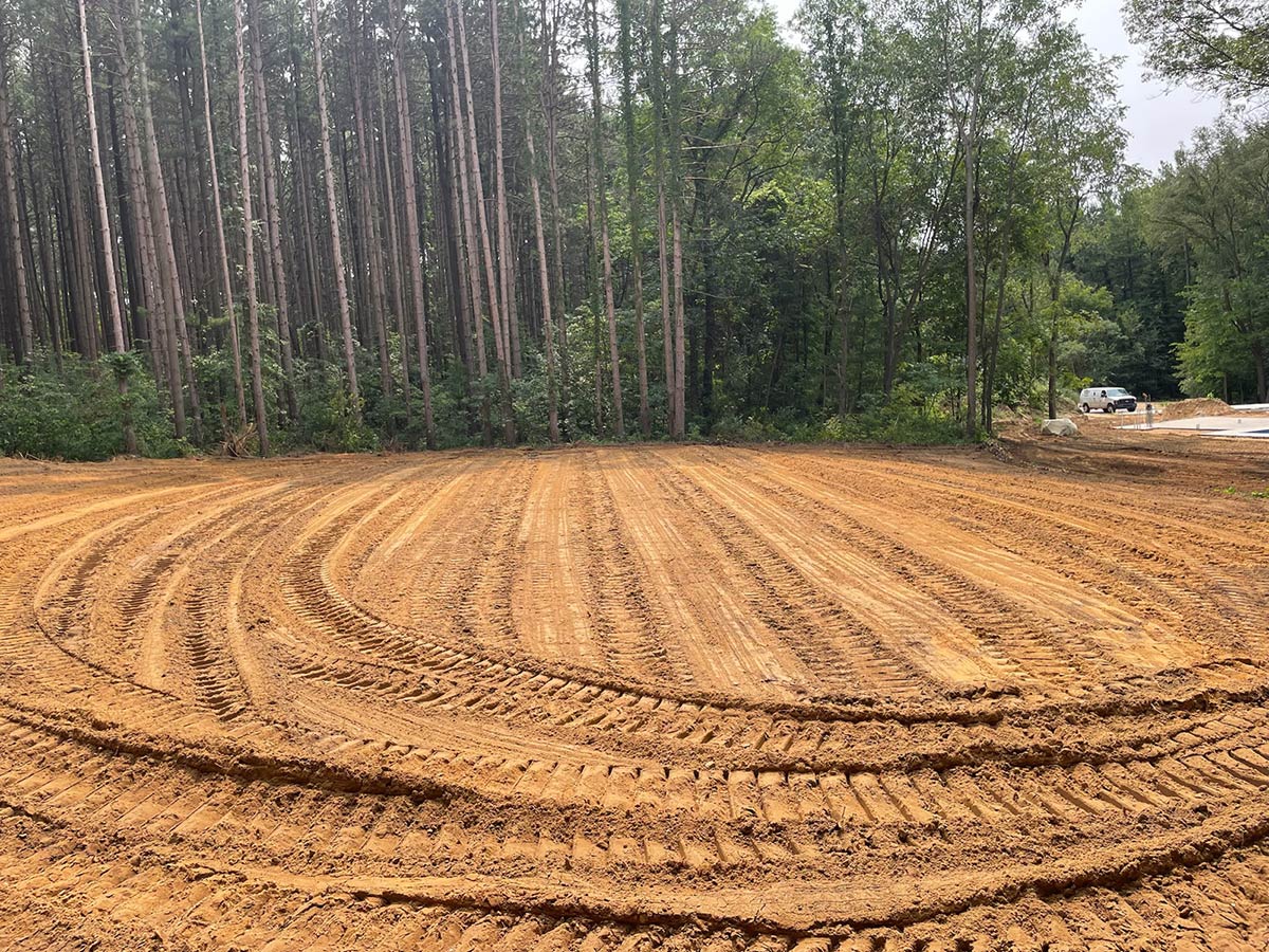 site clearing in woods
