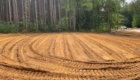 freshly cleared and leveled land in woods