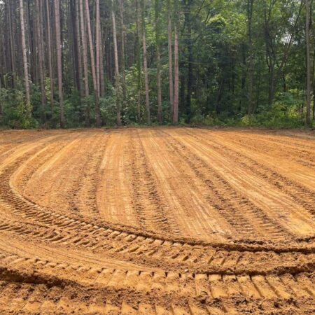 freshly cleared and leveled land in woods