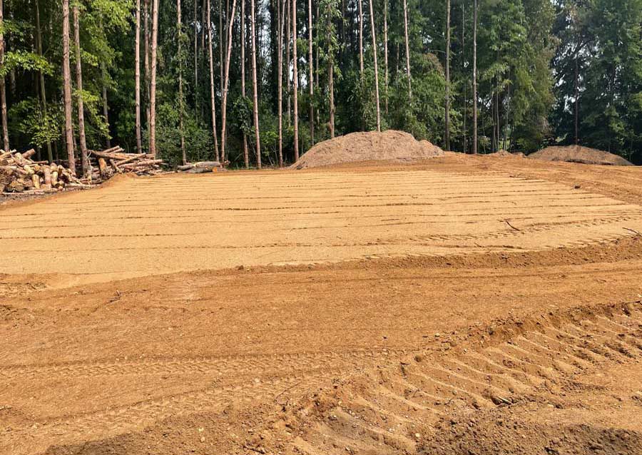 land clearing in woods - cleared open area with pine trees in background